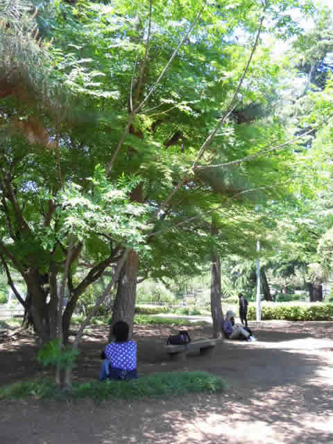 研修会の様子1