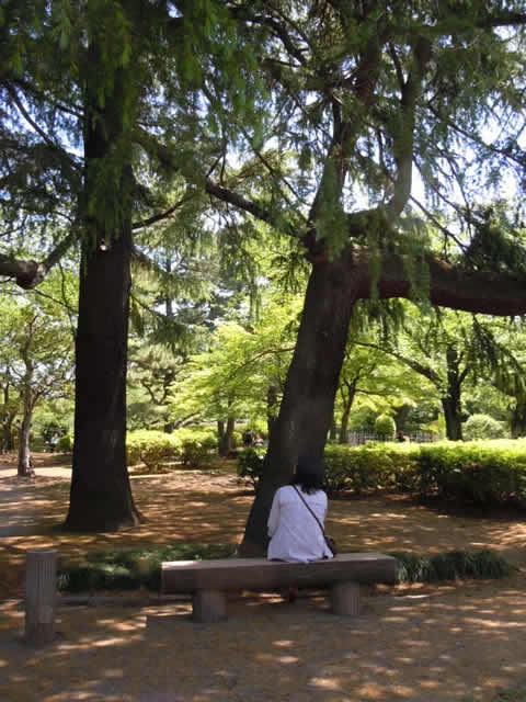 研修会の様子3