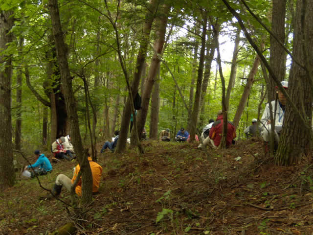 森の中での研修会