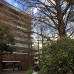 構内で樹木のアメニティを探す