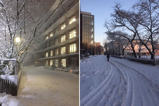 東京では、4年ぶりのまとまった雪降りになりました!