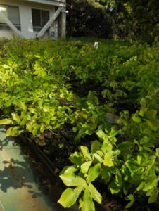 今月のひとこと(5月)