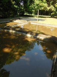 今月のひとこと(5月)