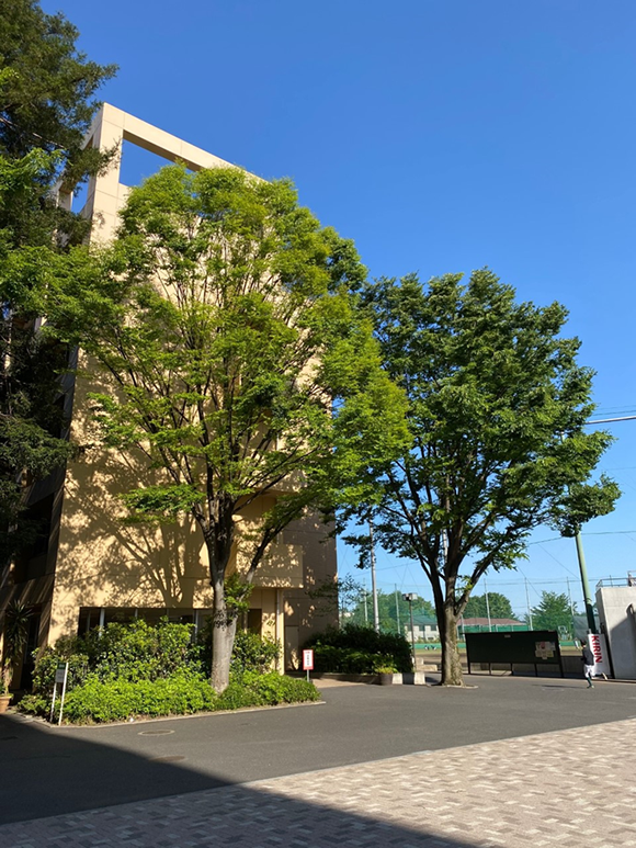 今月のひとこと（4月）