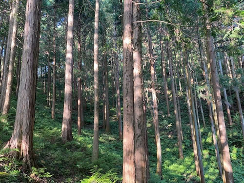 今月のひとこと（8月）