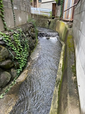 （平常時）