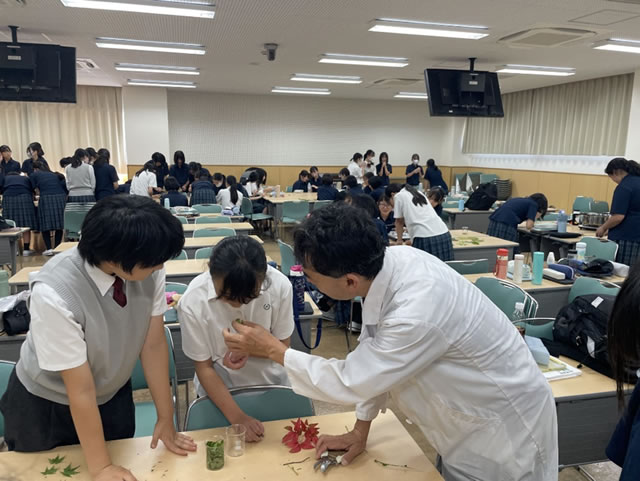 今月のひとこと(2025年8月)
