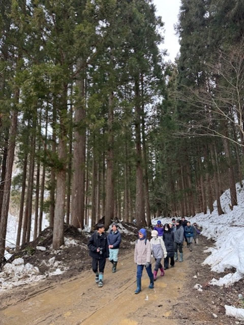森林療法の体験会（秋田県上小阿仁村）