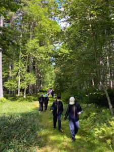 北海道の中学の森林散策