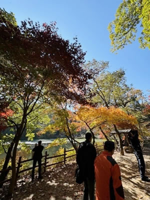 「高齢者と森林療法：韓国での国際会議」