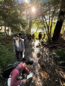 今月のひとこと（2024年12月）